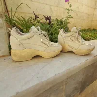 بوت واسپرت|کیف، کفش، کمربند|اصفهان, برازنده|دیوار