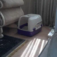 باکس خاک گربه
