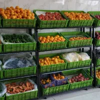 فروش استند میوه فروشی