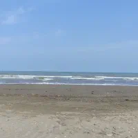 فروش-زمین-شالیزاری