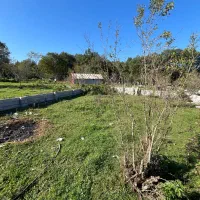 300-مترزمین-دل-طبیعت-با-همسایه-های-بومی-و-غیربومی