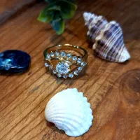 انگشترهای خاص|بدلیجات|اصفهان, ملک‌شهر|دیوار