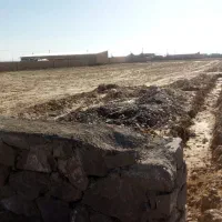 زمین ۵۰۰۰متری مناسب گلخانه گاوداری باغ و...