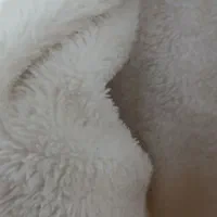 کاپشن دخترانه بین ۲تا۳ سال|کفش و لباس بچه|صفادشت, |دیوار