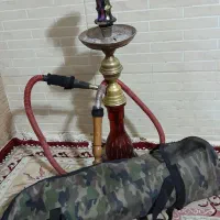 قلیون