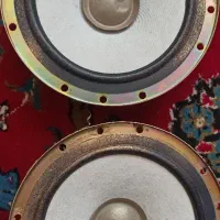 ی جفت باند