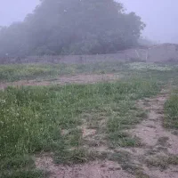 زمین به مساحت ۶۰۰مترواقع درروستای فیلیده