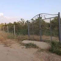 باغ گردو ومیوه مخلوط سندار