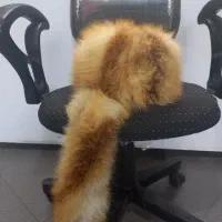 کلاه روسی اورجینال|لباس|ری, دولتآباد|دیوار