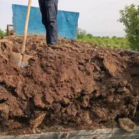 انواع کود حیوانی