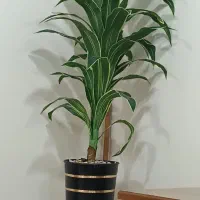 درختچه مصنوعی