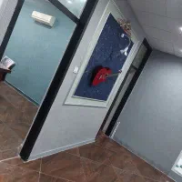 تزیینات ساختمان بلکا ، ابریشم  رنگ آمیزی