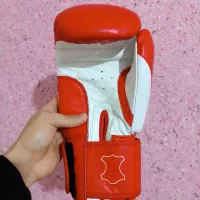 دستکش بوکس|تجهیزات ورزشی|مشهد, سجاد شهر|دیوار