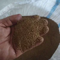 بذر یونجه درجه یک