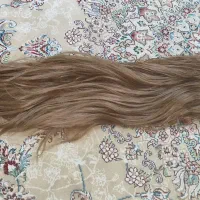 کلاه  گیس|آرایشی، بهداشتی، درمانی|مشهد, راه آهن|دیوار
