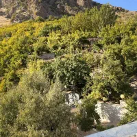 شهرستان پاوه روستای دشه سویت اجاره ای