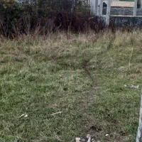 زمین-منطقه-سنگتجن-227متر