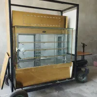 گاری و یخچال