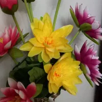 سه شاخه گل نونو|گل مصنوعی|همدان, |دیوار