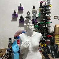 ساخت مجسمه شخصی|مجسمه، تندیس، ماکت|تاکستان, |دیوار