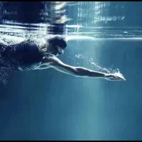 بلیط استخر دلفین