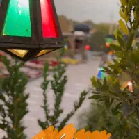 ظرفشورکمک باریستا ویتر کمک آشپز پیک موتوری