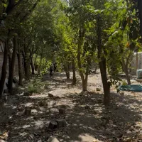 باغچه  شهران شمالی