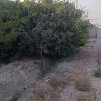 باغچه-چهار-دیواری-انجم-اباد