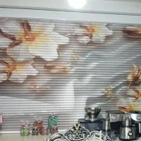 پرده زبرا