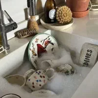 شرکت نظافتی بهداشتی ایران پاک