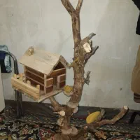 درختچه تزیینی با قفس
