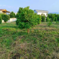 دروغ ممنوع/قیمتها واقعیه/زمین قابل ساخت منطقه برند