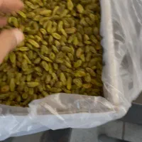 گله و کشمیش