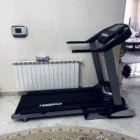 تردمیل STINGRAY اصل تایوان