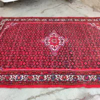 فرش دست بافت 6 متری صد درصد کیفیت عالی|فرش|برازجان, |دیوار