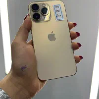 ۱۳ پرو گلد بسیار تمیز از دم قسط بدون پیش