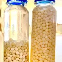 خاویار های تازه حلزون