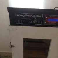 دستگاه جوجه کشی هدایت 210تایی