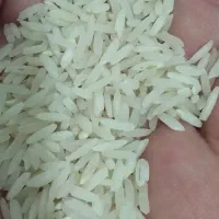 برنج میانه|خوردنی و آشامیدنی|تبریز, |دیوار
