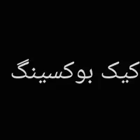 باشگاه کیک بوکسینگ آراز  به صورت حرفی اختصاص پسران