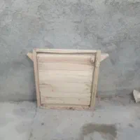 در عقال کفتر