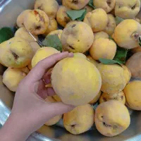 به شهرستان|خوردنی و آشامیدنی|رباطکریم, الارد|دیوار