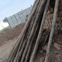 چوب