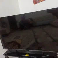 تلویزیون50|تلویزیون و پروژکتور|تبریز, |دیوار