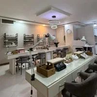 استخدام ناخنکار و هیر استالیست|خدمات آرایشگری و زیبایی|تهران, سازمان برنامه جنوبی|دیوار