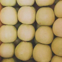 سیب درجه یک سفید و قرمز بدون لکه