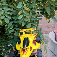 گالوپ مسابقه ای|اسباب‌بازی بچه|تهران, تسلیحات|دیوار