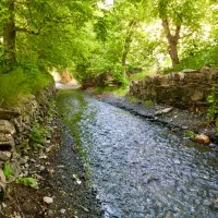 کوهنوردی و پیاده روی