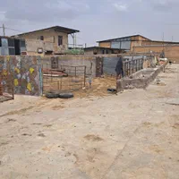 پروار بندی گوساله گوسفندی همه چی ۷۵ راس|پیشفروش املاک|بروجن, |دیوار