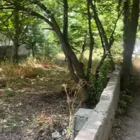 ۴۲۰ متر زمین جاده چالوس بر رودخانه (موقعیت بی نظیر